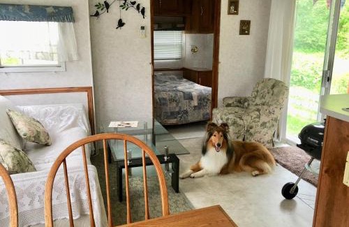 Hokuto Other | Camp inn Kiyosato GRANDEUR - Vacation STAY 42079v