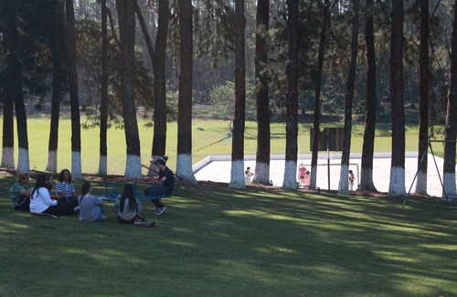 Mato do Gado Cabin | Camp Marallin