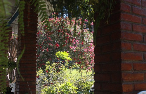 Mato do Gado Cabin | Camp Marallin