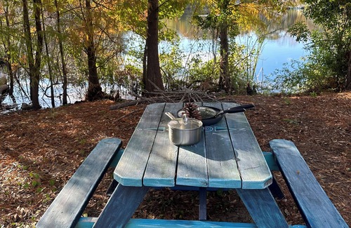 Brooksville RV Rental | Camp/sleep van laundry Clean restrooms Nature WiFi central Fl. You will love it