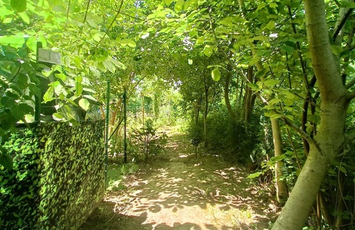 Bouges-le-Chateau RV Rental | Campement Privatisé Aménagé EN Pleine Nature Près DU ZOO DE Beauval