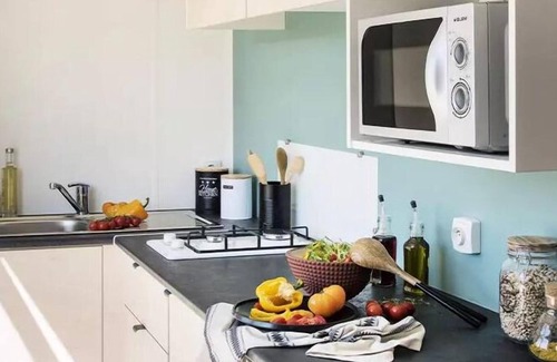 La Plaine-sur-Mer House | Camping de la Prée* - Mobile home CAHITA 2 Rooms 2 People