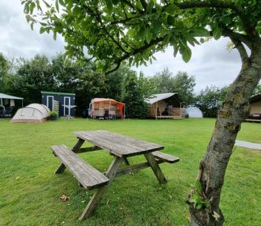 Breezand Other | Camping De Tulpenweide lege Kampeerplaats, lege plaats op het gras zonder bed
