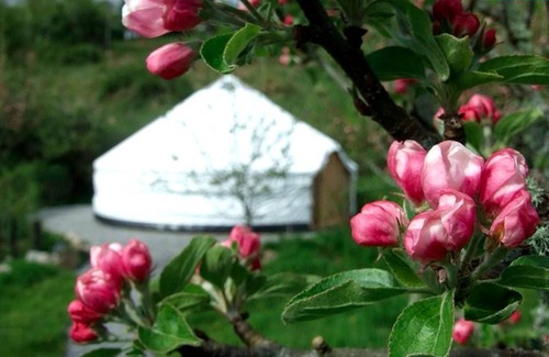 Drumkeeran Other | Camping ∙ 1 bedroom ∙ 6 guests