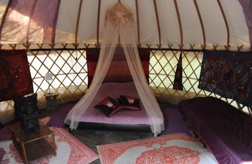 Labastide-de-Virac Other | Camping Mille Étoiles