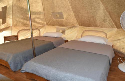 Trago Other | Camping Oliana
