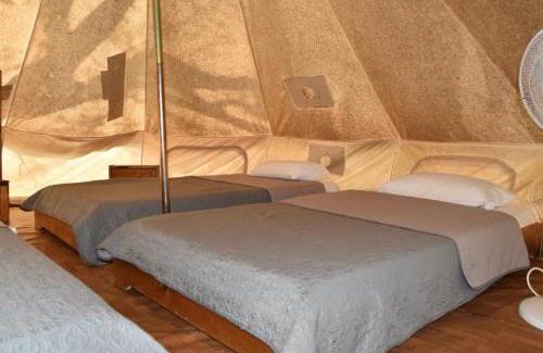 Trago Other | Camping Oliana