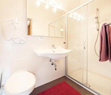 Saltusio Apartment | Camping Passeier Enzian