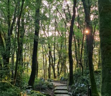 Ramales de la Victoria Other | CAMPING RAMALES