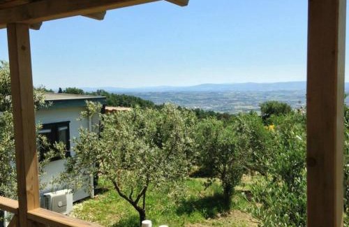 Capraia e Limite Other | Camping San Giusto