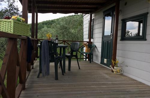 Capraia e Limite Other | Camping San Giusto