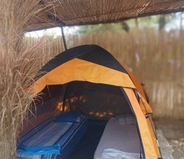 Qeparo Other | Camping Ullishtja