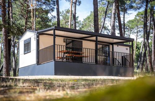 Vilviestre de los Nabos Other | Camping Urbion
