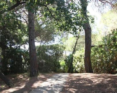 Marina di Grosseto Other | Camping Village IL SOLE - Empty Pitch Only - Solo Piazzole per la propria tenda o caravan