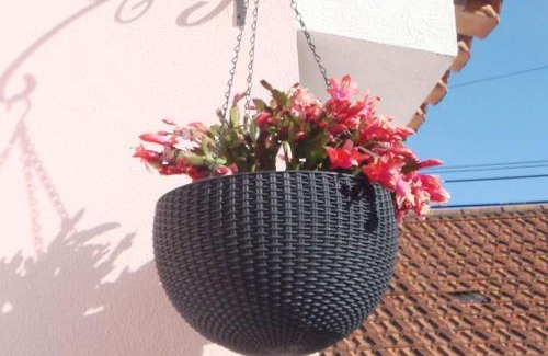Atalaia House | Campo de Oleandros
