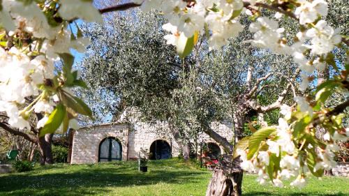 Villa Musone Bed & Breakfast | Campo Del Mare