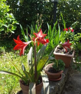 Montagnana Bed & Breakfast | Campomaggio