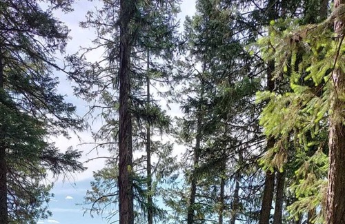 Olney RV Rental | Campsite #2 with Lake Access
