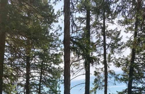 Olney RV Rental | Campsite #2 with Lake Access