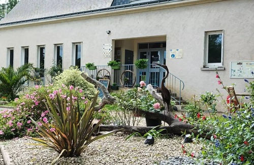 Luynes House | Campsite Flower les Granges*** - Wood Lodge Comfort 3 rooms 4 people Without Sanitary