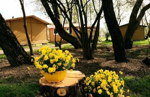 Belfort House | Campsite L'Etang des Forges* - Mobile Home Super Astria 2 Rooms 2 People