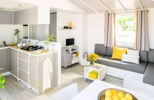 Patornay House | Campsite Le Moulin * - Mobile Home Family XL 4 Rooms 6/7 People Air-conditioned