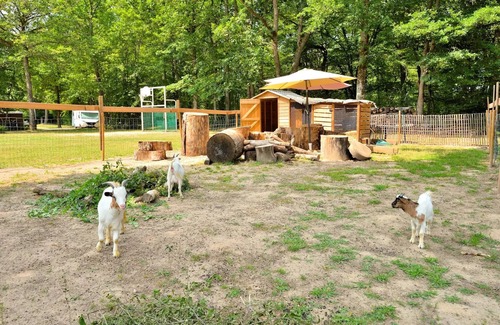 Combreux House | Campsite Seasonova Etang de la Vallée * - MOBILEHOME 2 ROOMS 4 persons