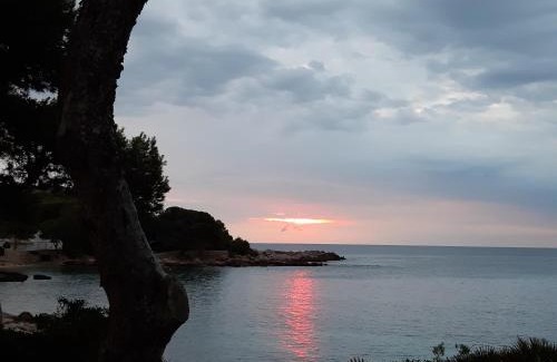 Es Pelats Apartment | Can Caragol