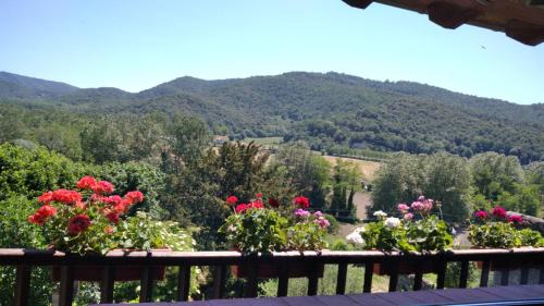 Sant Esteve d'en Bas Ski Chalet | Can MiA