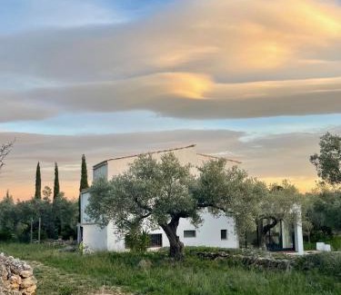 Tortosa House | Can Mimosa