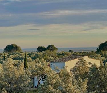 Tortosa House | Can Mimosa