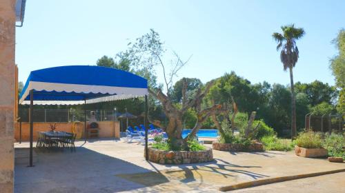 Campos Villa | Can Palea