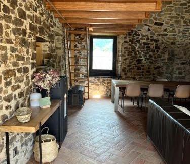 Sant Joan de Les Abadesses House | Can Sau
