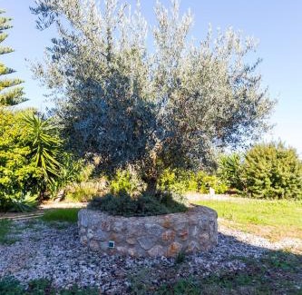 Campanet House | Can Tut