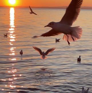 Lazise Old Town Hotel | Cangrande Hotel