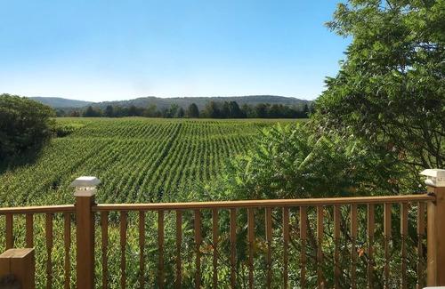 Cooperstown House | Cank's II: 3 MILES to Baseball Hall of Fame, 2.5 MILES to Baseball Dreams Park