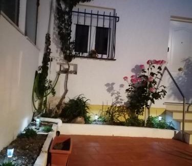 Avis Apartment | Cantinho da Familia