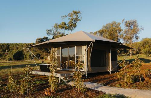 Seppeltsfield Hotel | CANVS by CABN Seppeltsfield Barossa