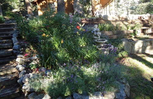 Boulder Cabin | Canyon escape - cabin studio along Boulder Creek with complete kitchen #1