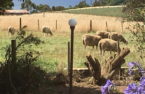 Table Cape Bed & Breakfast | Cape View B and B