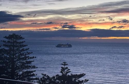 Bluff Hill House | Cape View - Napier Holiday Home