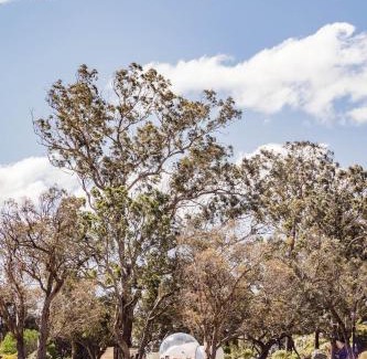 Tenterfield Other | Captain Thunderbolt Bubbletent at Mirumiru