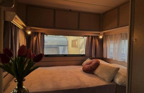 Susica Other | Caravan near the sea 2