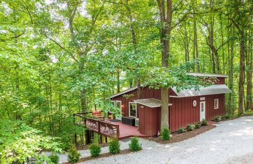 Clarks Chapel House | Cardinal's Nest - A Unique Mountain Cabin Located in a Remote Vacation Spot. Pet Friendly!