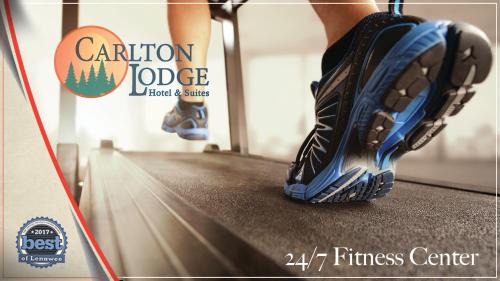 Adrian Hotel | Carlton Lodge Hotel and Suites