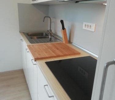 Radovljica Apartment | CARNIOLAN HOUSE - GORENSKA HIŠKA