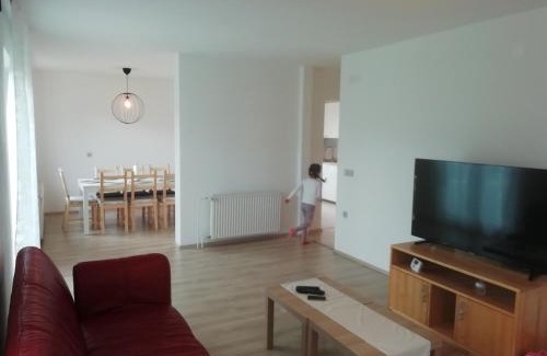 Radovljica Apartment | CARNIOLAN HOUSE - GORENSKA HIŠKA