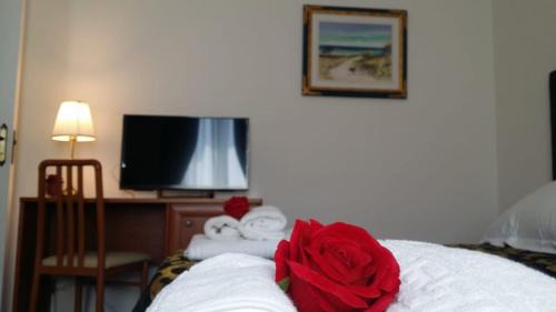 Palombina Nuova House | Carpe Diem Ancona