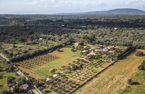 Algaida House | Cas Misser
