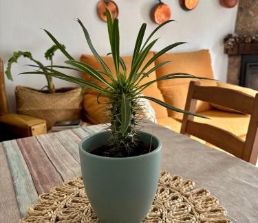 Pedro Bernardo House | Casa Árbol